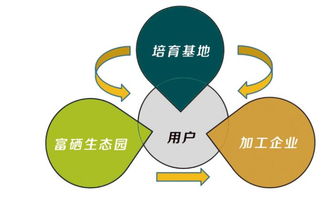 富硒食品连锁新零售 互联网分享经济思维驱动产业变革